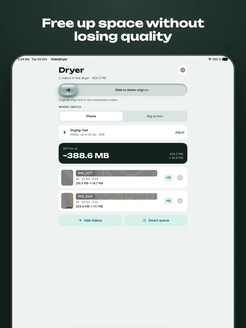 The dryer screen on an iPad Pro with the planned saving of 388.6 MB.