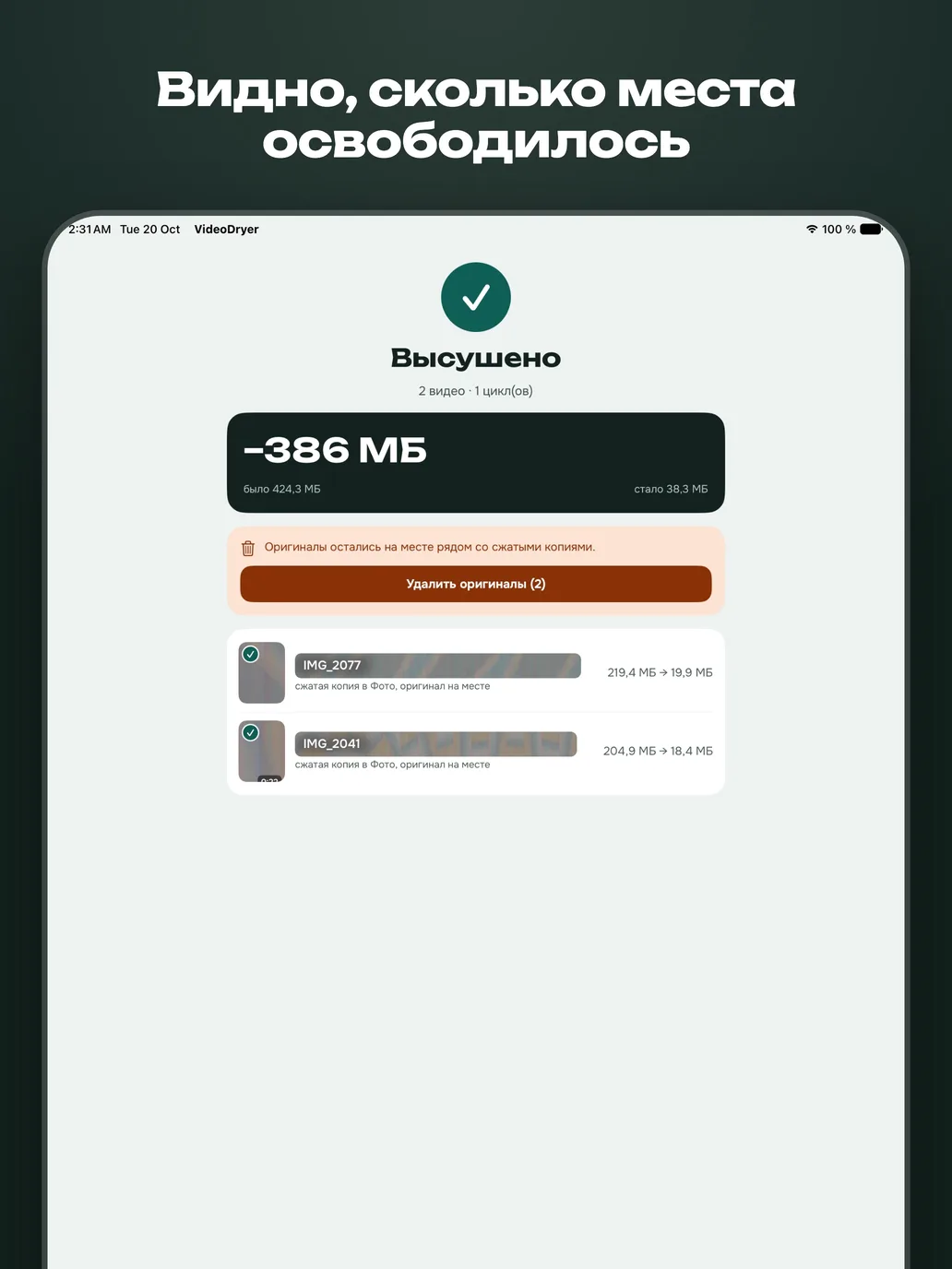Экран результата на iPad Pro: «Высушено», сэкономлено 386 МБ.
